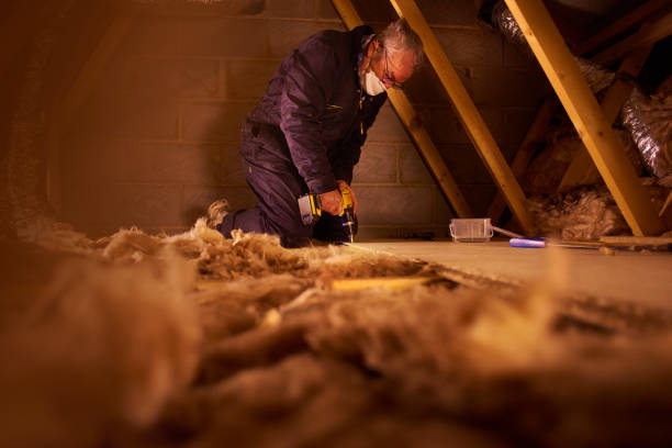 Best Attic Insulation Installation  in Oakland Park, FL